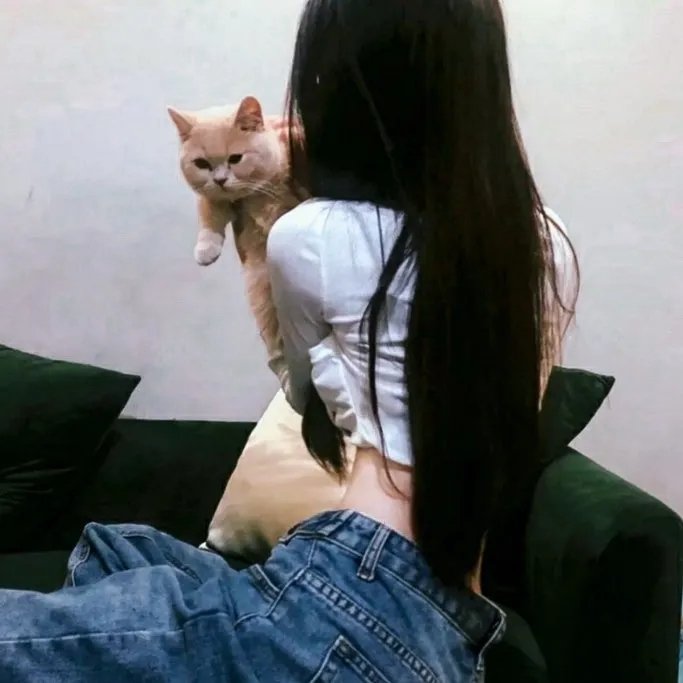 舞宫春色